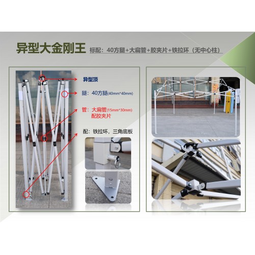 异型大金刚王